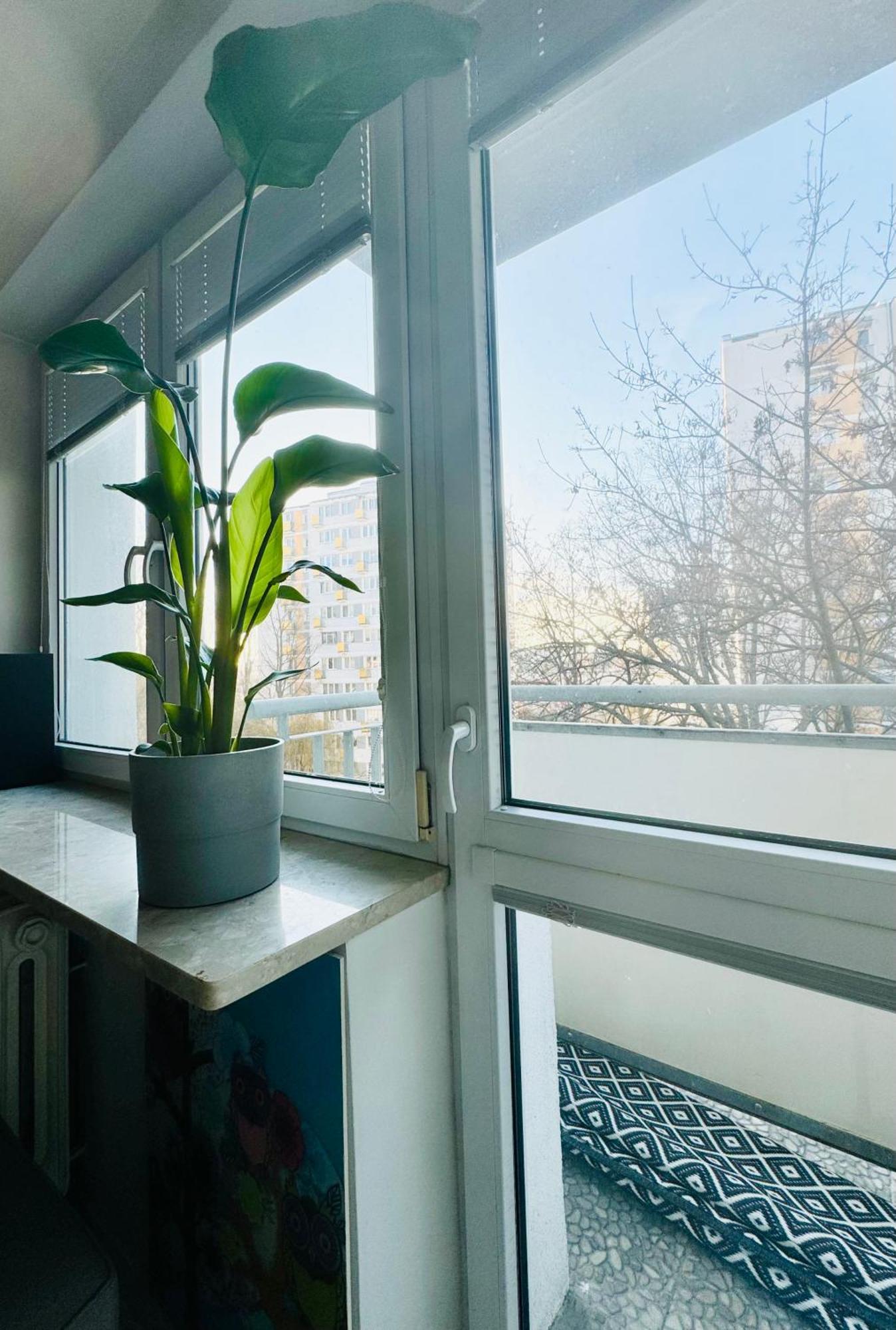 Apartment Washington Avenue